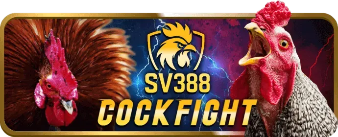 Cập nhật game và tính năng mới tải thomo688
